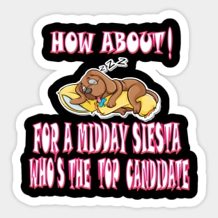 how about who's the top candidate for a midday siesta Sticker